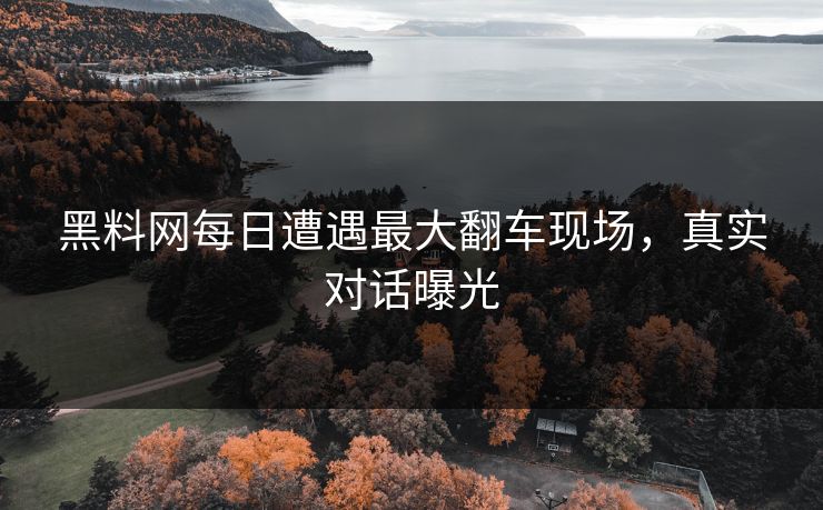 黑料网每日遭遇最大翻车现场，真实对话曝光