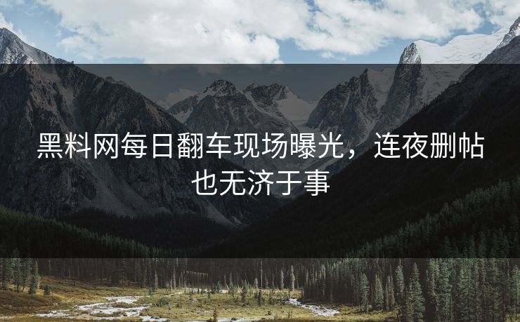 黑料网每日翻车现场曝光，连夜删帖也无济于事