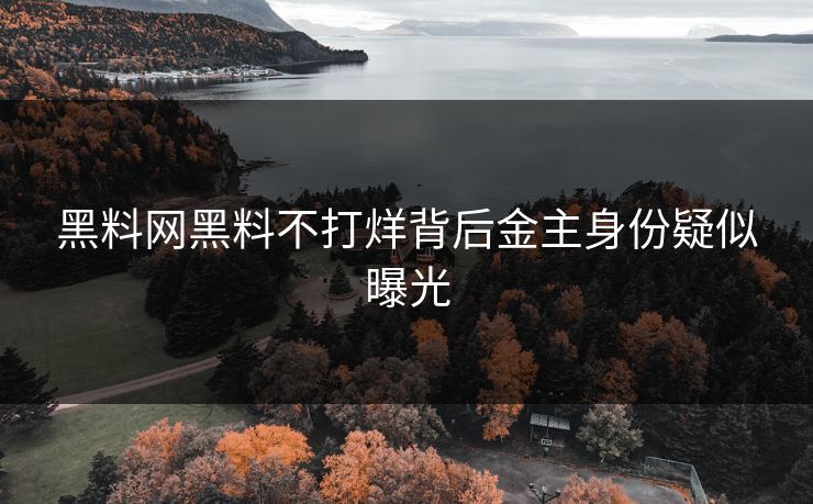 黑料网黑料不打烊背后金主身份疑似曝光