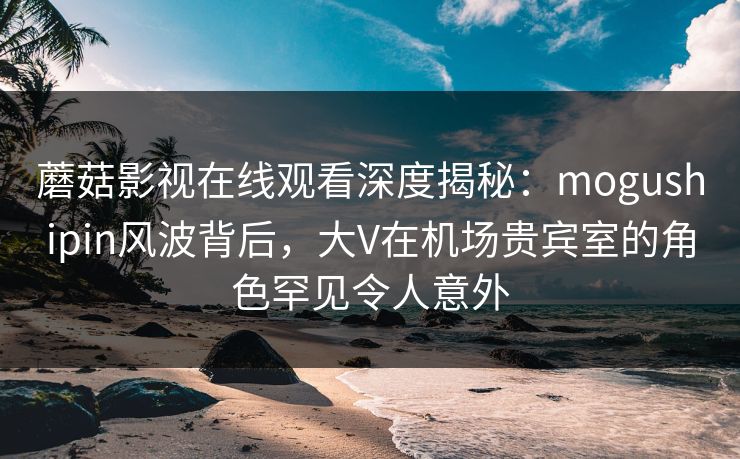 蘑菇影视在线观看深度揭秘：mogushipin风波背后，大V在机场贵宾室的角色罕见令人意外