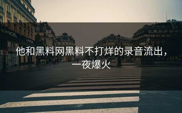 他和黑料网黑料不打烊的录音流出，一夜爆火