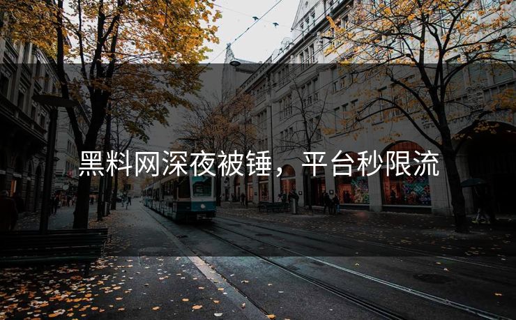 黑料网深夜被锤，平台秒限流