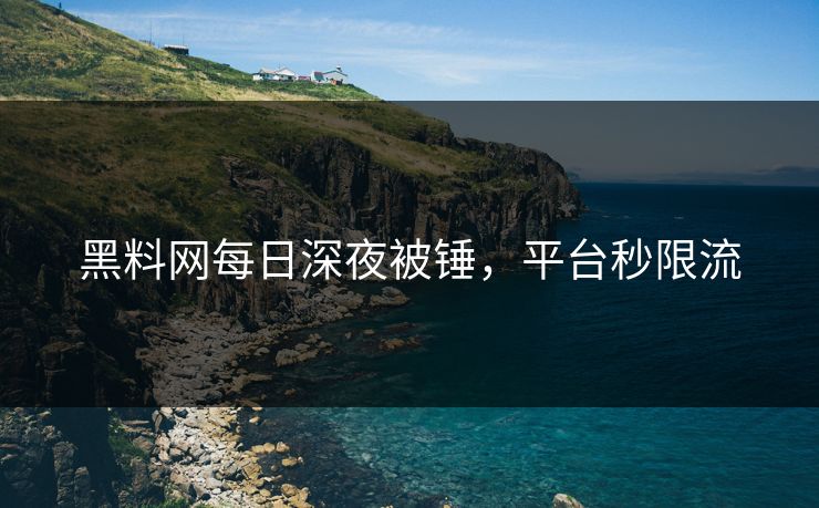 黑料网每日深夜被锤，平台秒限流