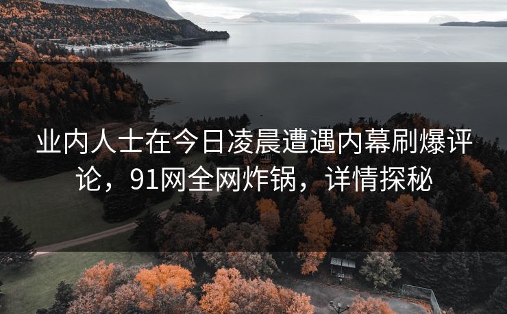 业内人士在今日凌晨遭遇内幕刷爆评论，91网全网炸锅，详情探秘