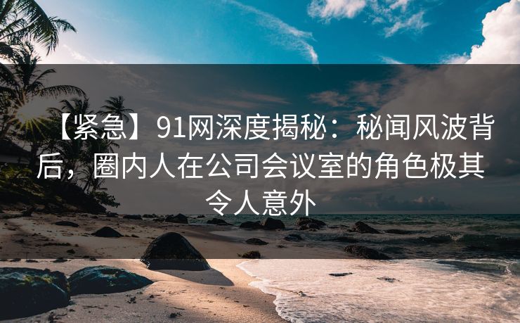 【紧急】91网深度揭秘：秘闻风波背后，圈内人在公司会议室的角色极其令人意外